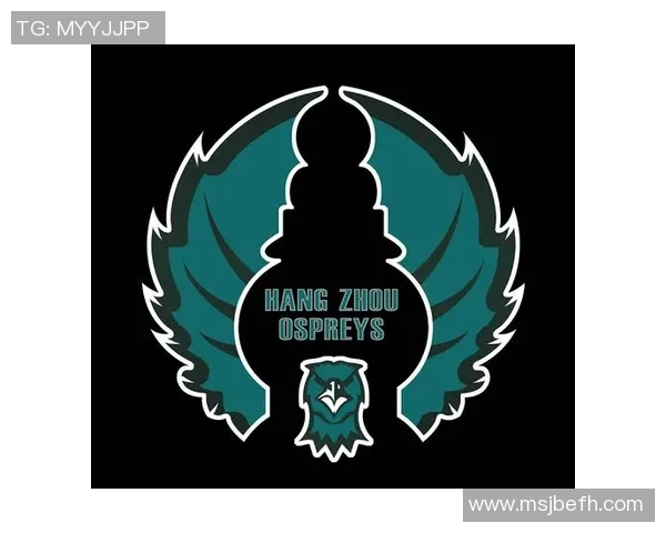 杭州飞盘队的转型之路与未来发展展望探讨