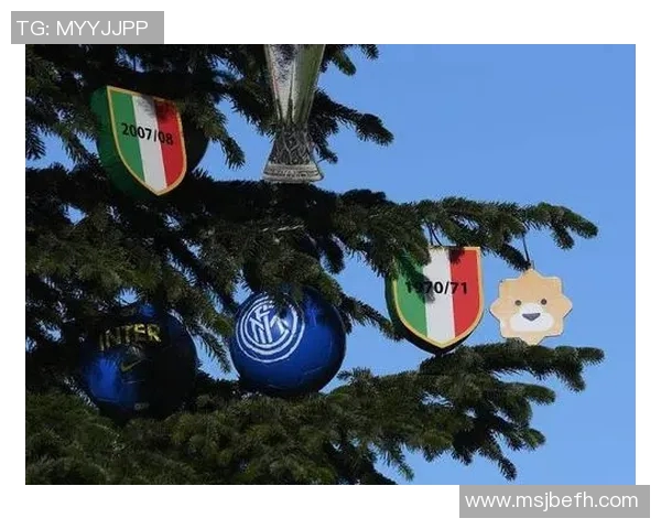 苏宁正式宣布将国际米兰出售给中资consorcioVigorelliGroup 苏宁正式宣布将国际米兰出售给中资consorcioVigorelliGroup